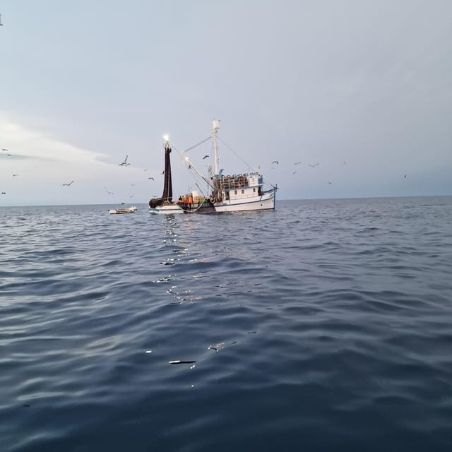 Rovinj Fishing Tour With Boat - Fishing Assistance