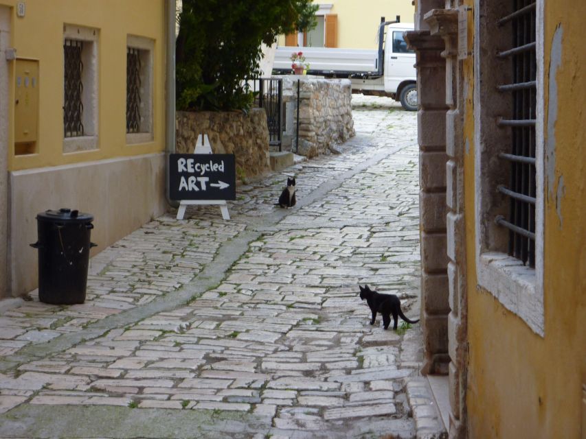 Rovinj: Private Walking Tour - Historical Significance