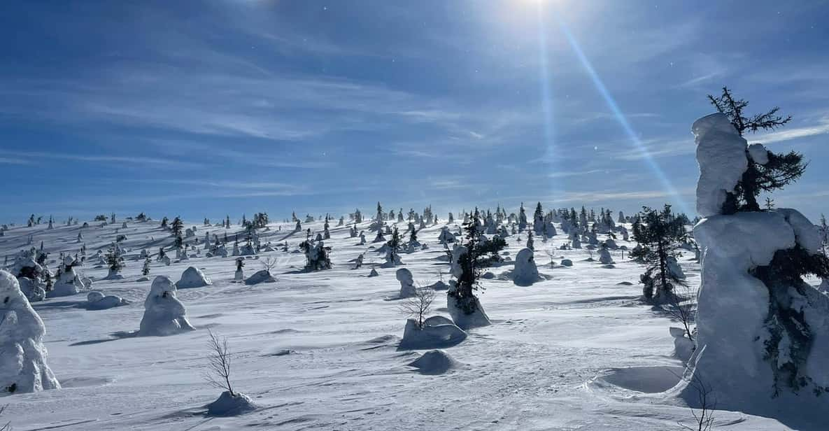 Ruka: Riisitunturi National Park. - Itinerary Highlights