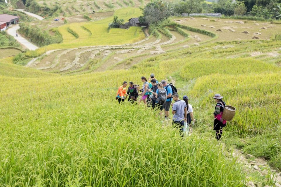 Sa Pa: Muong Hoa Valley Trek and Local Ethnic Villages Tour - Experience and Activities