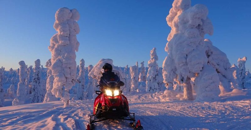 Saariselkä/Inari: Evening Snowmobile Tour With Fire & Dinner - Tour Details