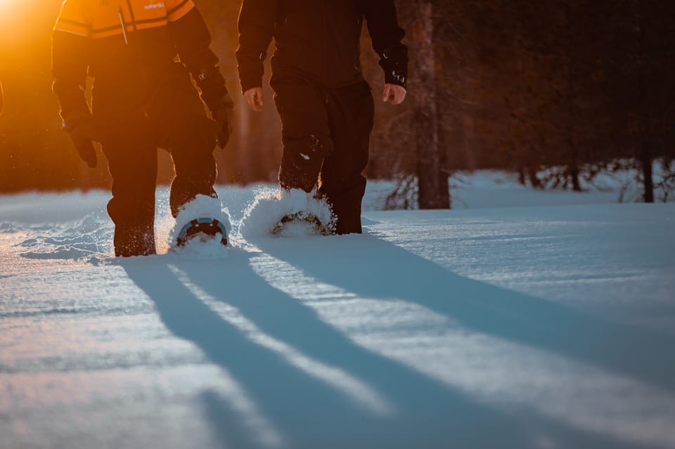 Saariselkä: Northern Lights Hunting Snowshoe Trip - Night Sky Exploration