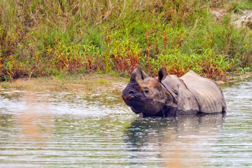 Safari Adventure in Bardia - Bardiya National Park