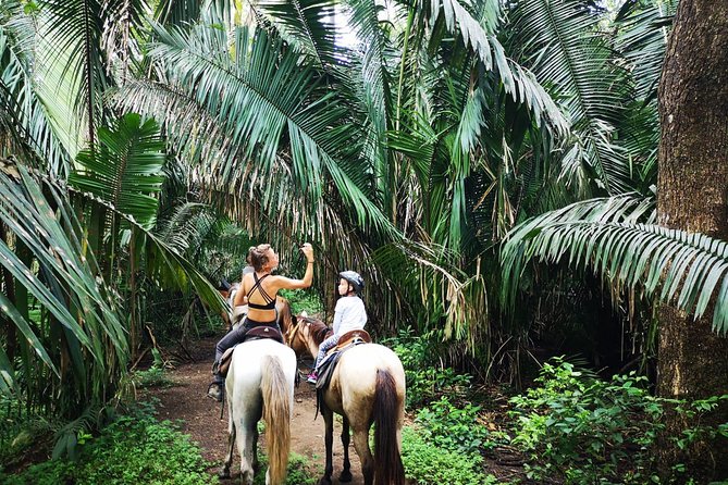 Safari Horse Riding Tour - Meeting and Availability