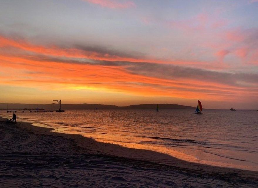 Sail on a Catamaran: Discover Paracas Bay - Experience Highlights
