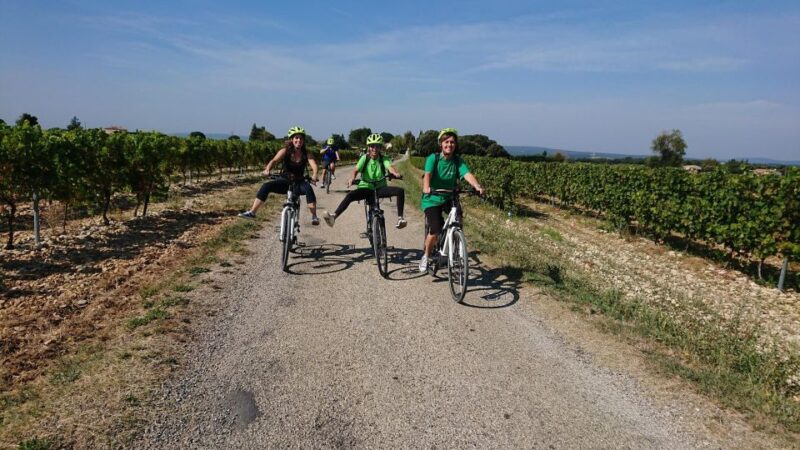 Saint-Martin-dArdèche: Electric Bike Wine Tour & Tasting - Participant Information