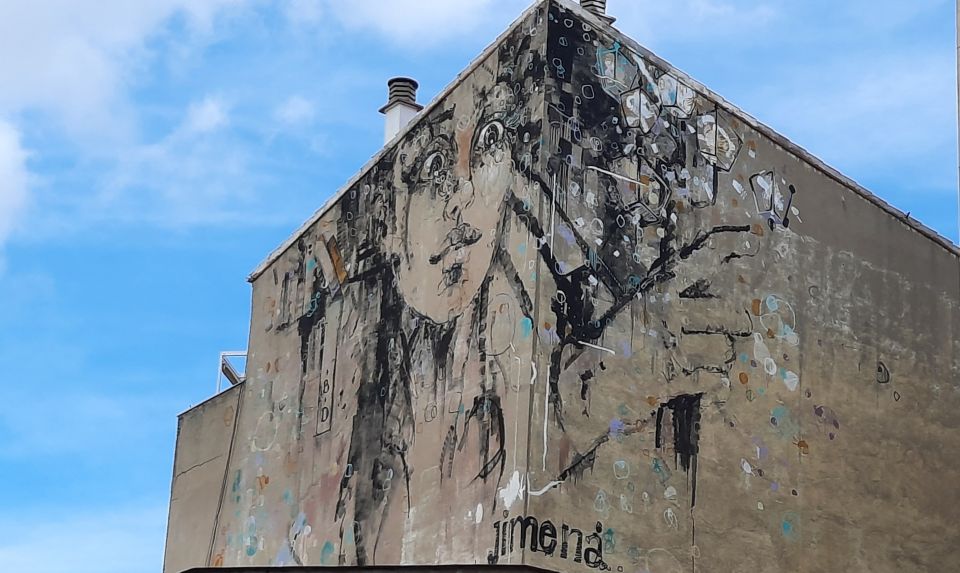 Salamanca: Private Guided Street Art Walking Tour - Experience and Local Insights