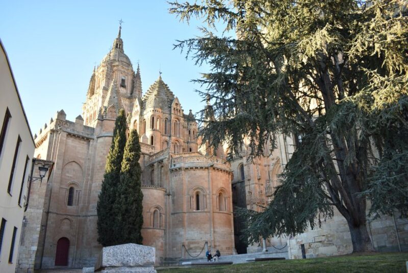 Salamanca: Private Sightseeing & Cultural Walking Tour - Itinerary and Key Locations