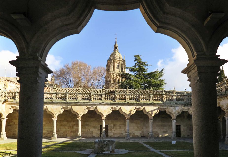 Salamanca: Private Tour of the Most Important Sites - Guided Experience