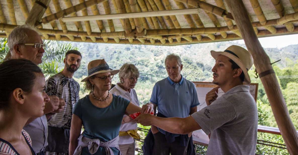 Salento: Private Hacienda Venecia Coffee Tour - Highlights of the Experience