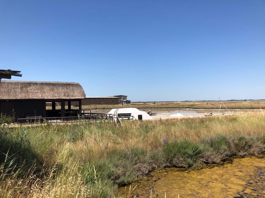 Salina Di Cervia: Traces of a Roman Salt Pan - Ancient Salt Production Techniques