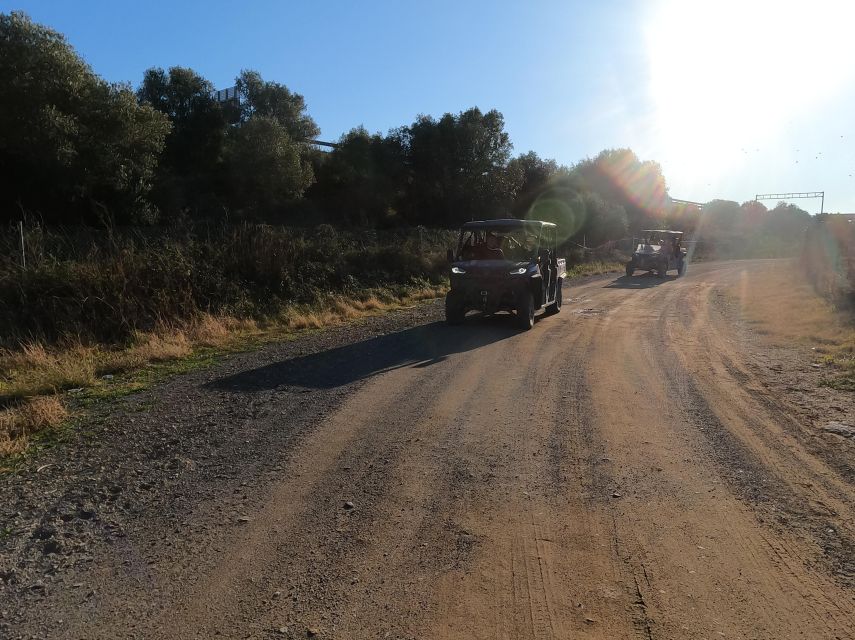 Salou: Kids Buggy Driving Experience in Safe Environment - Safety and Accessibility