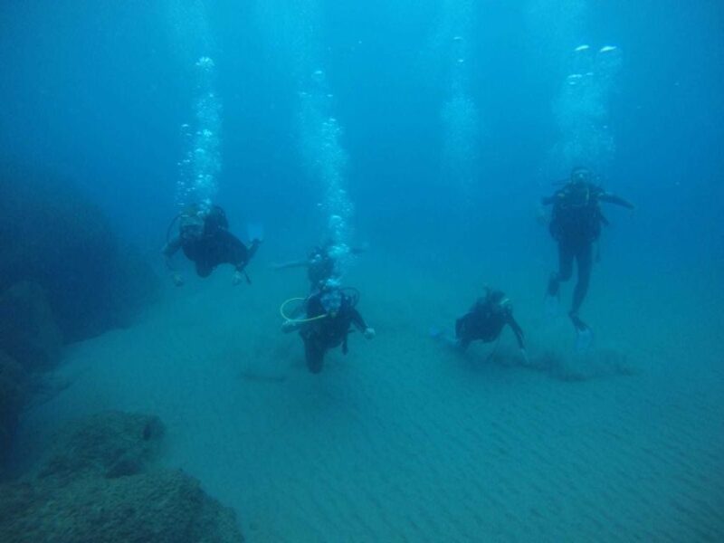 Salou: Scuba Diving for Beginners - Pricing and Cancellation