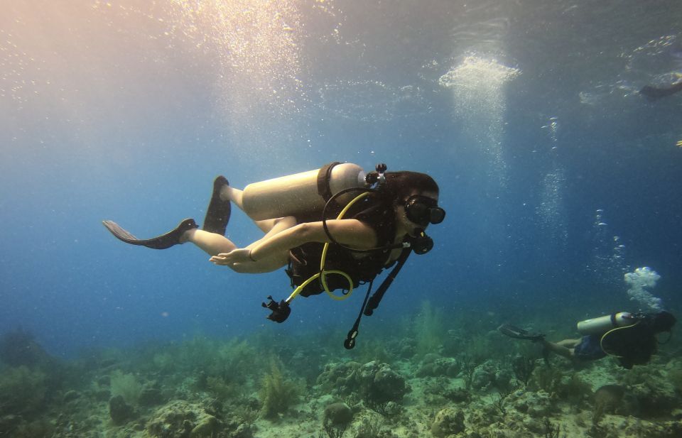 San Andrés: Guided Scuba Diving Trip With Hotel Transfer - Exclusions to Consider