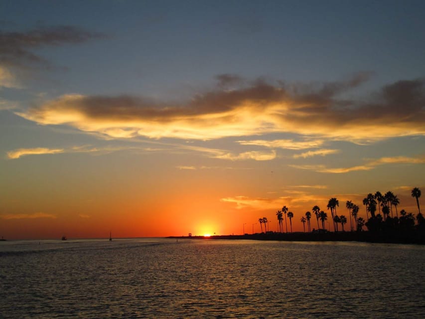 San Diego: Dolphin and Whale-Watching Sunset Cruise - Inclusions and Restrictions