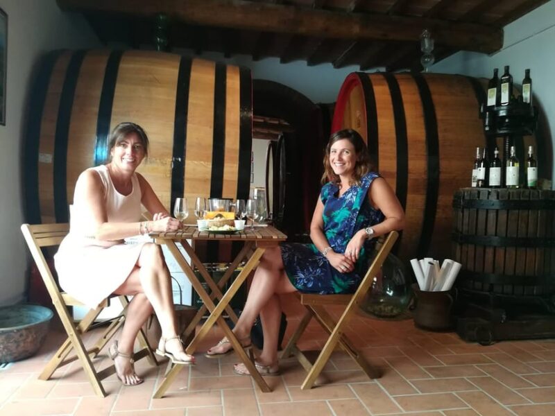 San Gimignano: Wines and Oil Tasting With Vineyards Tour - Detailed Description of the Tour