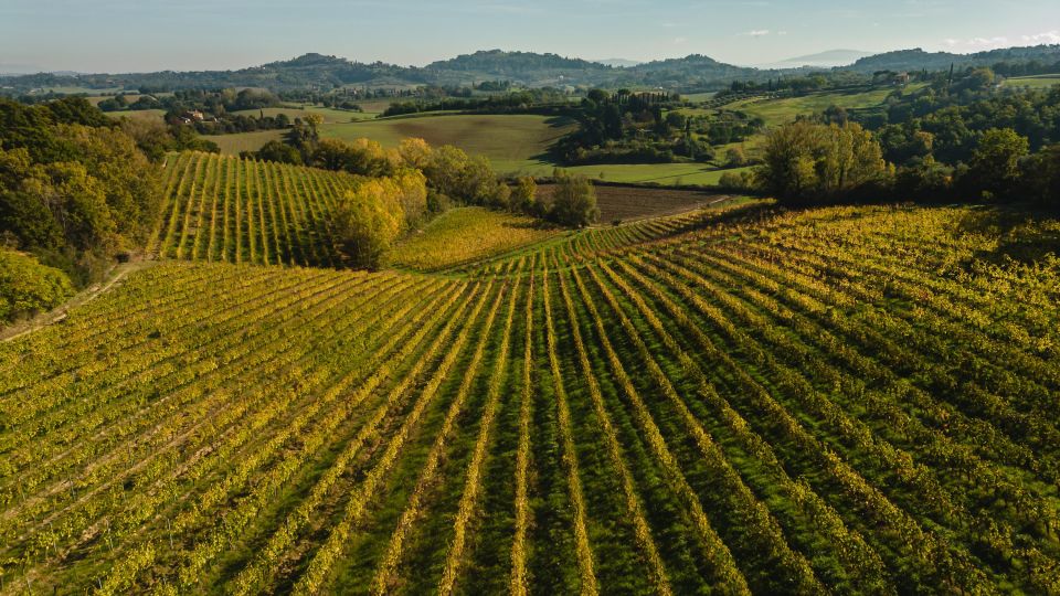 San Gregorio Tasting - Wine Tasting Selection