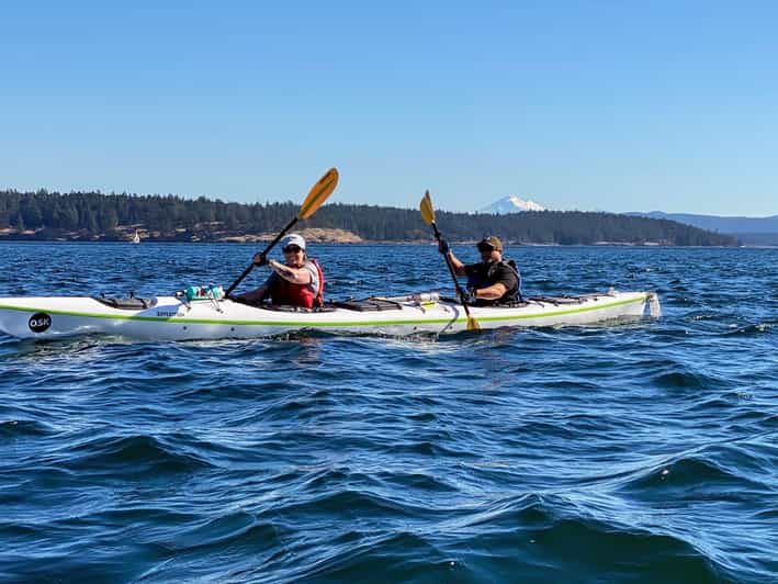 San Juan Island: Full Day Kayaking Tour - Wildlife and Scenic Highlights