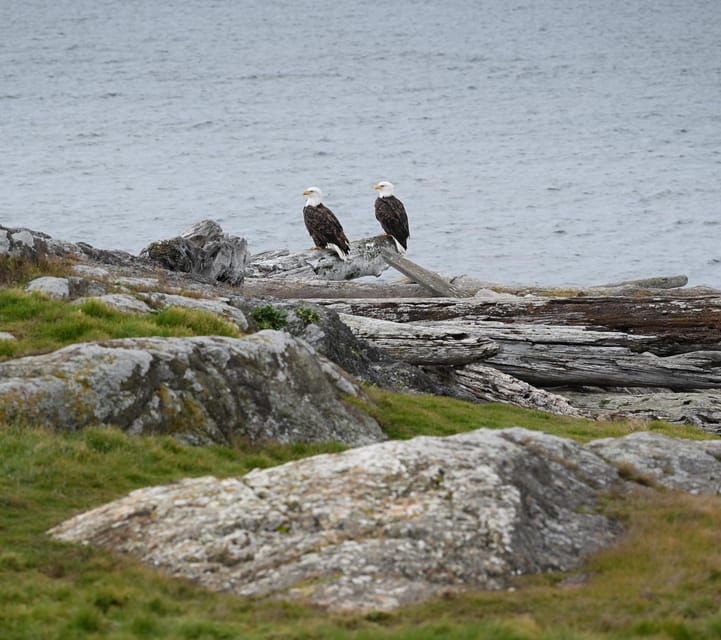 San Juan Island NP: Scenic Coast and Wildlife Hike - Included Amenities