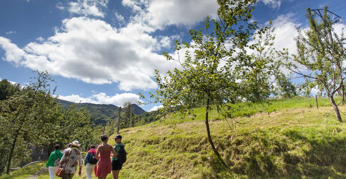 San Sebastián: Traditional Cider House Tour With Lunch - Itinerary Details