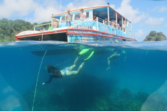 Sancho Bay Swim From Fernando De Noronha - Departure Options