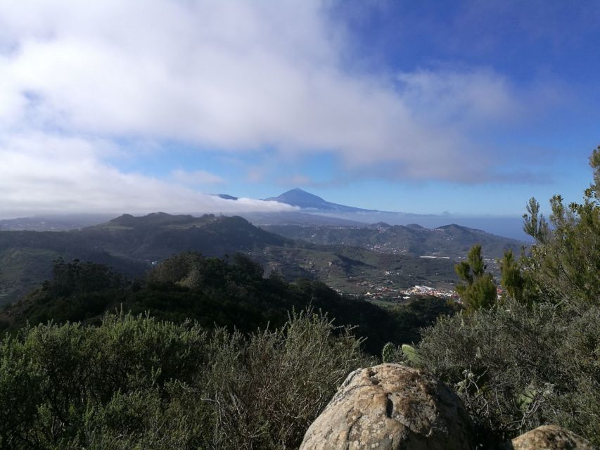 Santa Cruz De Tenerife: 2-Hour Hiking Tour in Anaga Forest - Experience Highlights