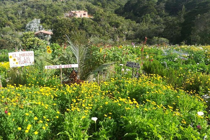 Santa Elena Trip: Silleteros and Flower Farm Cultural Tour - Promotional Opportunities