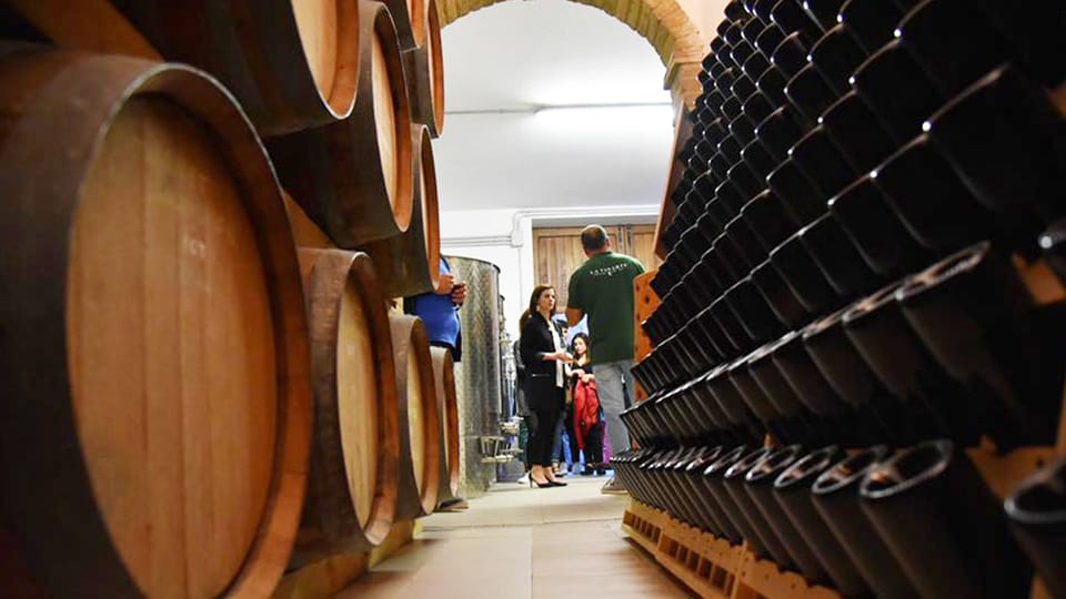 Santa Maria Imbaro: The Vinarte Wine Tour - Guided Cellar Tour