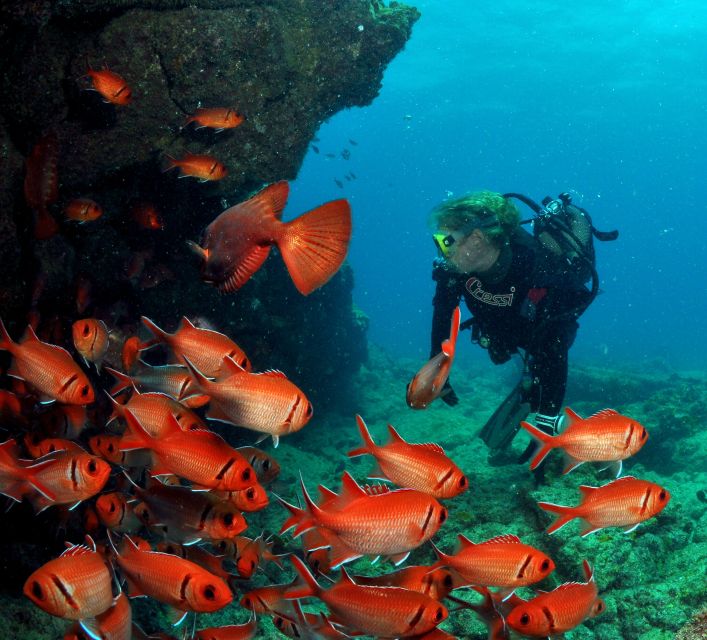 Santa Maria: Scuba Diving Package With 3 Dives - Included Amenities