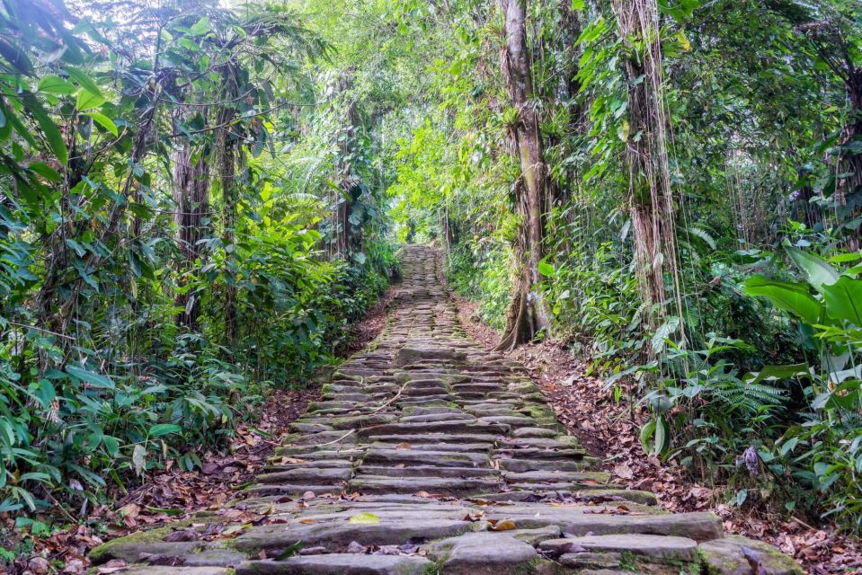 Santa Marta: Multi-Day Trek to The Lost City - Cultural Engagement