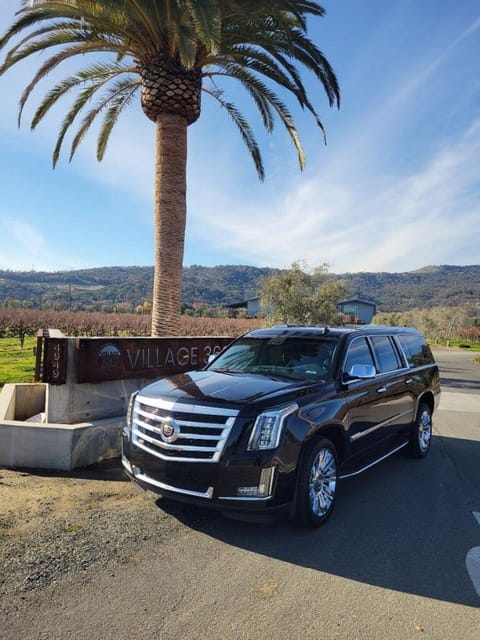 Santa Rosa: Private Airport Transfer Service - Vehicle Comfort and Amenities