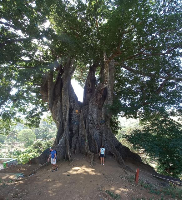Santiago Island Tour - Key Stops