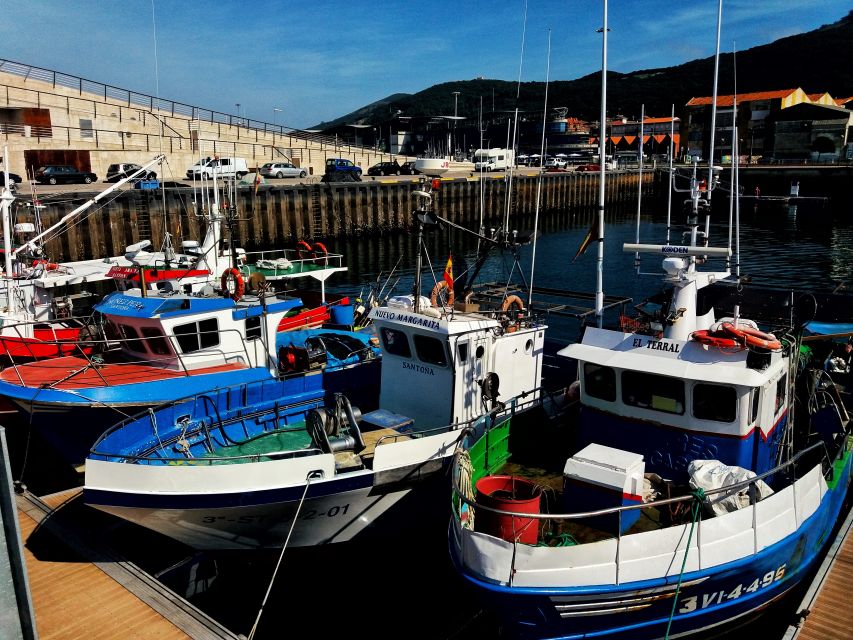 Santoña: Anchovy Factory Tour and Boat Trip - Inclusions