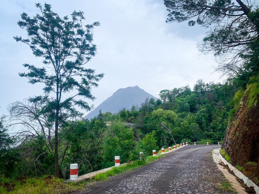 Sao Filipe: Coffee Plantation and Natural Pools Day Trip - Experience and Tour Guide