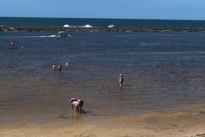 Sao Miguel Bar - Guided Photography Opportunities