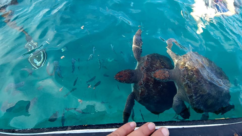 Sao Pedro Experience (Hiking & Snorkeling With Turtles) - Activities and Duration