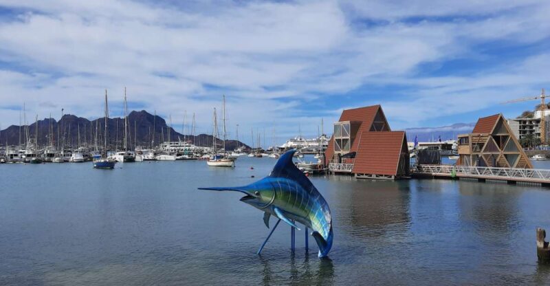 Sao Vicente: Markets, Beaches and Natural Park Tour - Important Information