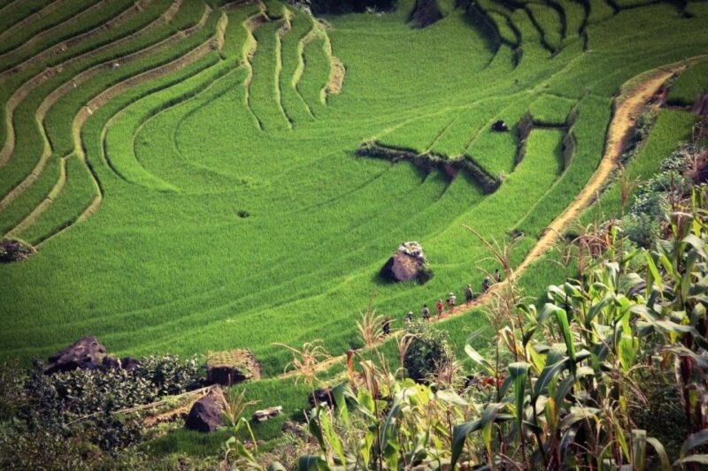 Sapa 3-Day Trekker - Cultural Experience