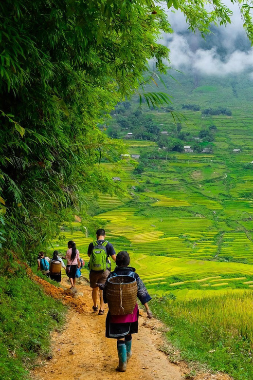 Sapa Beautiful Rice Field, Village - Easy Walking Kid,Senior - Whats Included in the Tour