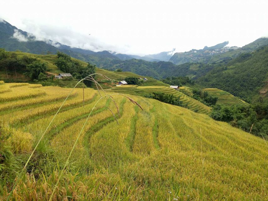 Sapa Bike Tour to Muong Hoa Valley and Local Life Experience - Cultural Experiences Along the Route