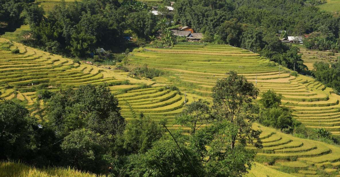 Sapa Daily Trip: Easy Trekking and Hotel 2 Days 1 Night - Day 1 Highlights