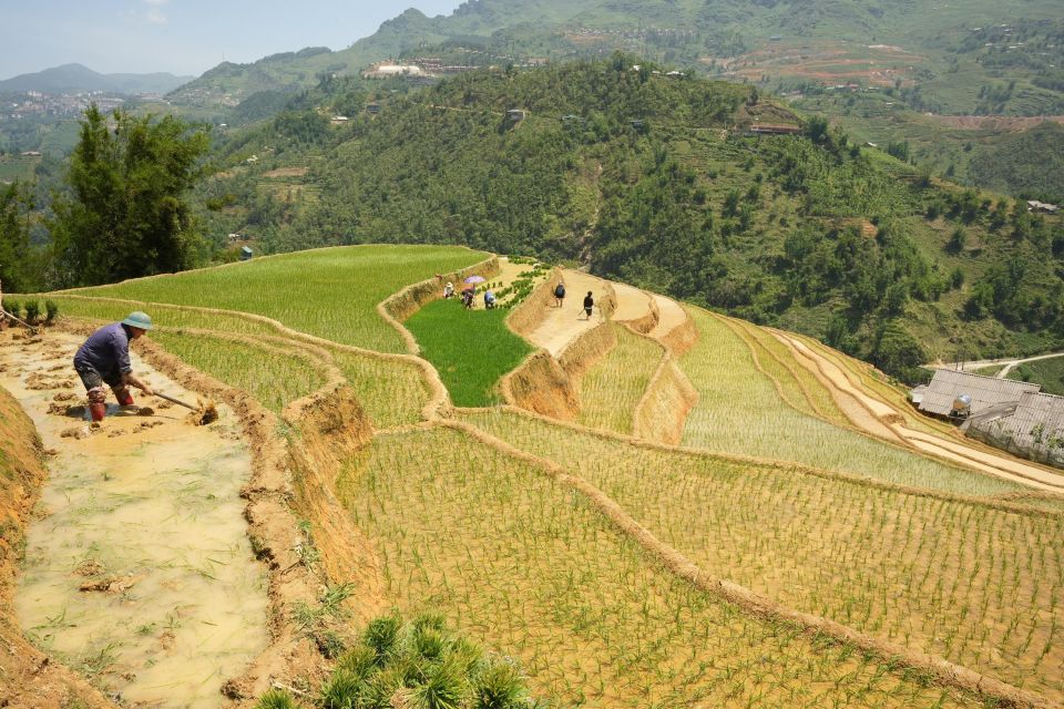 Sapa Half Day Hard Trekking Villages Trip With Lunch & Guide - Inclusions and Exclusions