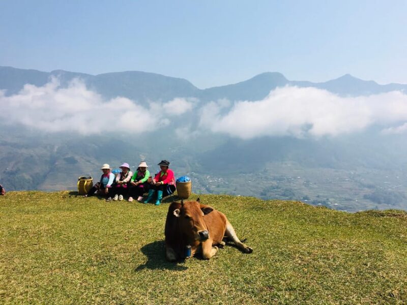 Sapa Trekking (Muon Hoa) 2 Days – 1 Night - Explore Rice Terraces