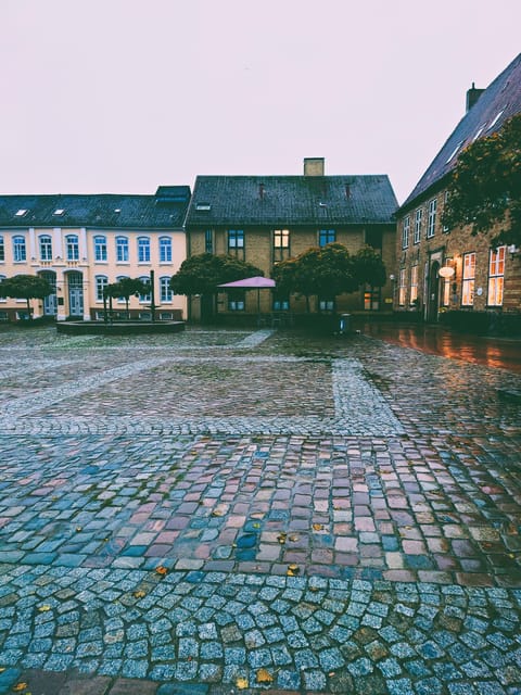 Schleswig: Highlights Tour (Cathedral, Old Town, Holm, City Harbor) - Picturesque Old Town Exploration