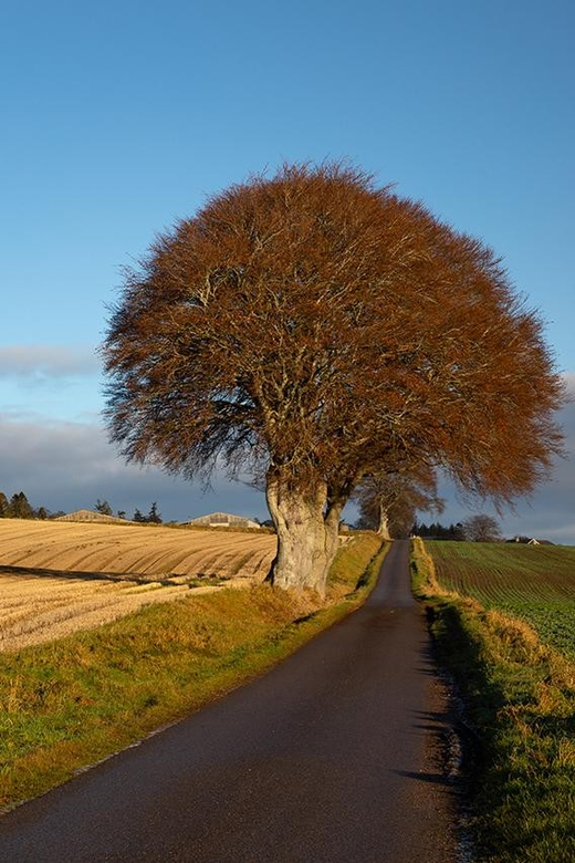 Scotland: Photography Group Tour With Pro Photographer - Learning Opportunities Offered