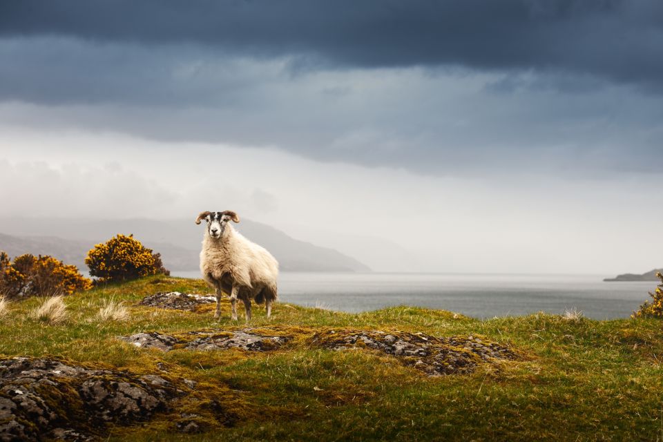 Scotland: West Highlands, Mull and Iona 4-Day Tour - Highlights of Each Day