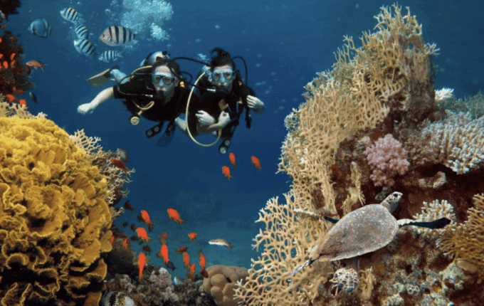 Scuba Dive in Blue Corner - Conservation and Sustainability Efforts