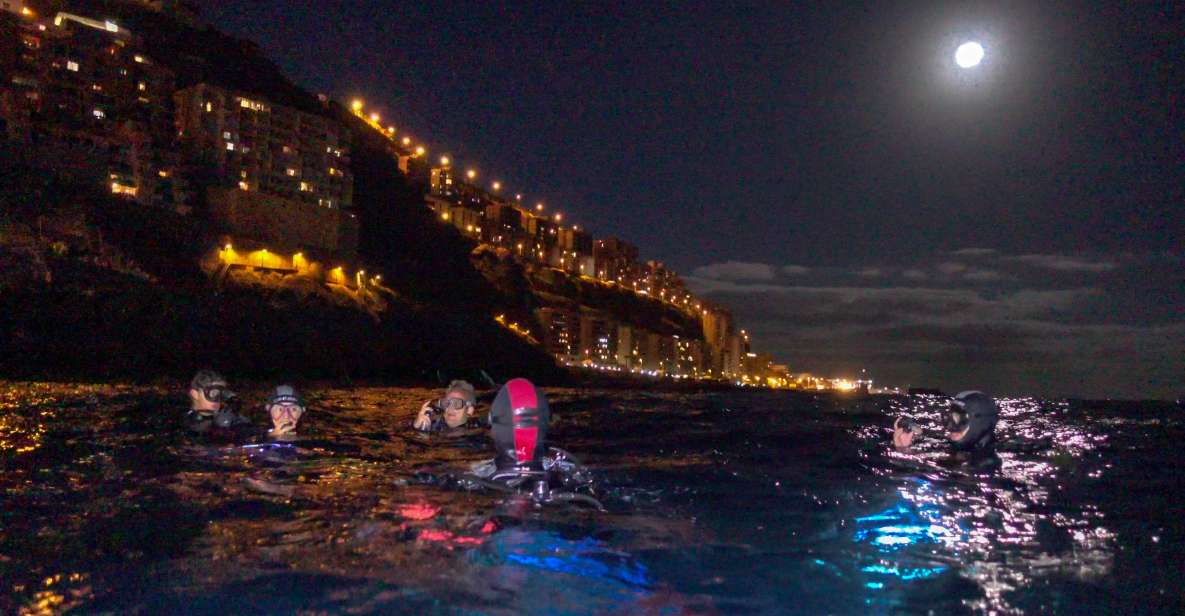 Scuba Night Dive on Tenerife - Highlights of the Experience