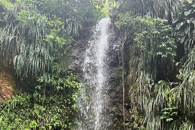 Sea and Land Tour in St. Lucia - Transportation and Accessibility