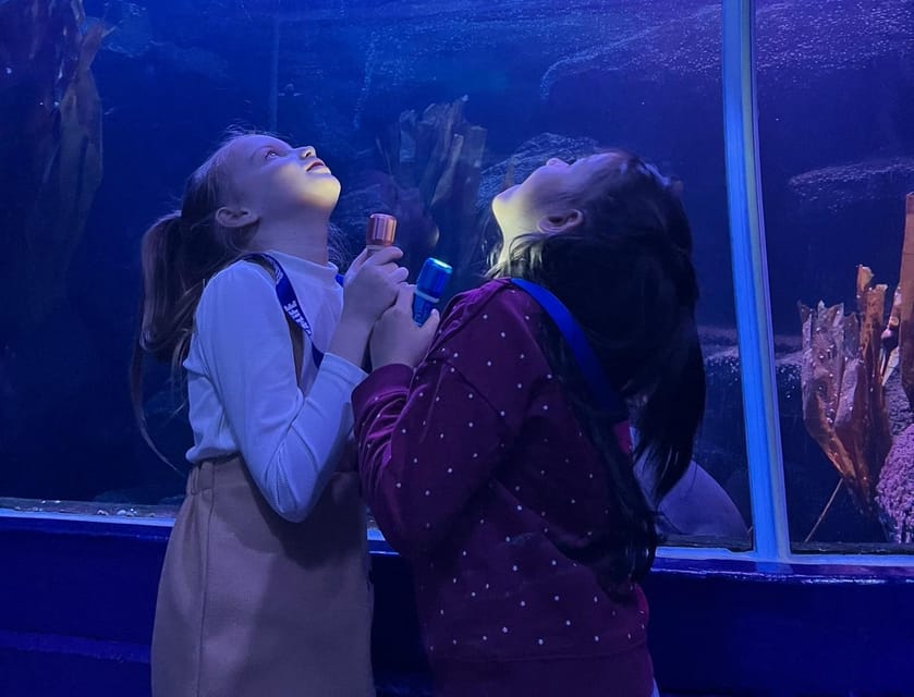 SEA LIFE Berlin Flashlight Tour - Experience Highlights